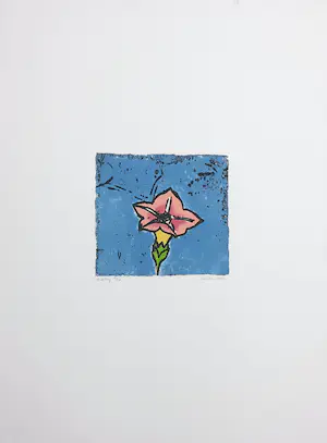 Niet of onleesbaar gesigneerd - Kleurenets, Blueslay kopen? Bied vanaf 1!