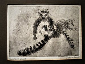 Niet of onleesbaar gesigneerd - Fraaie droge naald Ets - ringstaart Maki - zeer kleine oplage (6) - gesigneerd kopen? Bied vanaf 1!