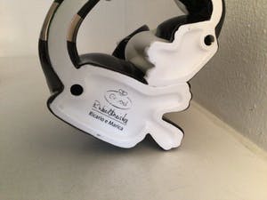 Rosina Wachtmeister - Kattenbeeld “ Ricario en Marica “ kopen? Bied vanaf 95!