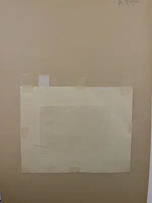 Theo Beerendonk - Knotwilgen kopen? Bied vanaf 40!