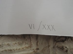 Rodolfo Meli - Toscaans Graficus - Groot Gesigneerd Litho " Zelfportret als Icarus in groen" kopen? Bied vanaf 1!