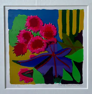 Henk van der Plas - Sur II kopen? Bied vanaf 55!