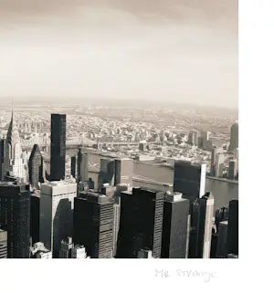 Mr Strange - Duik in de stad kopen? Bied vanaf 85!