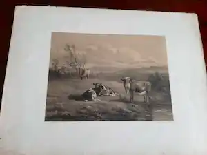 Gerard Bos - Koeien aan het water verkauft für € 1!