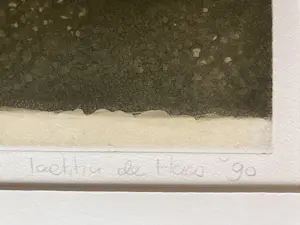 Laetitia de Haas - Terras kopen? Bied vanaf 49!