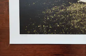 Karin Szekessy - 'Akt im Garten', foto kopen? Bied vanaf 149!