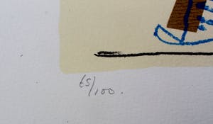 Kees Salentijn - zeefdruk -1997 kopen? Bied vanaf 55!