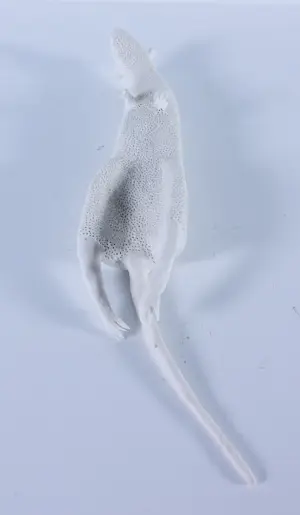 Kathja Smits - Porselein, Ratje kopen? Bied vanaf 100!