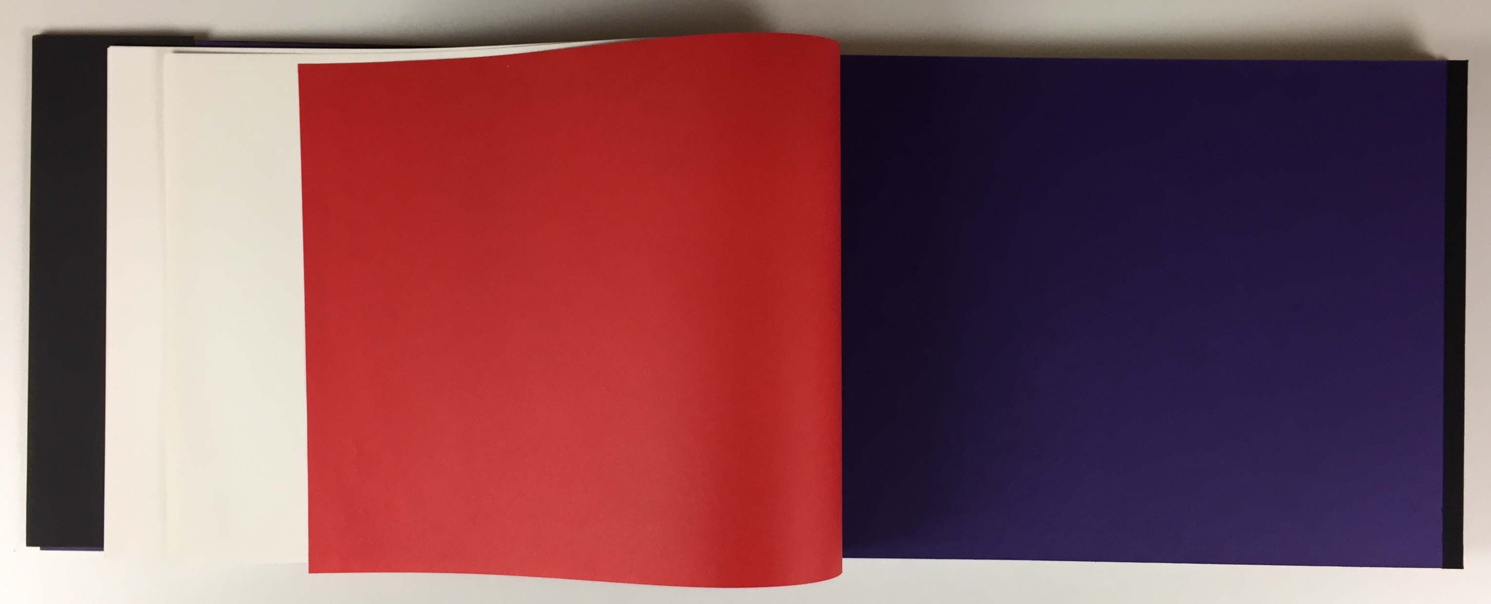 Armando - Portfolio Stichting de Roos, 'Zichzelf', incl. twee litho's 2013 (ZELDZAAM) kopen? Bied vanaf 425!