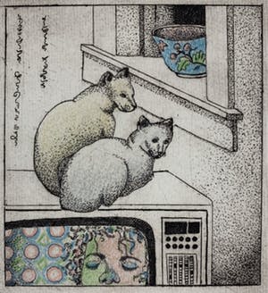 Carla Kleekamp - ets - 'Twee poezen' - eigen druk 1980 kopen? Bied vanaf 50!