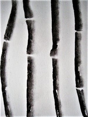 Katja Stam - Karakteristieke houtskool op papier "bamboe stokken" gesigneerd 1994 kopen? Bied vanaf 30!