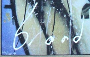 Herman Brood - Zeefdruk: Douche kopen? Bied vanaf 185!