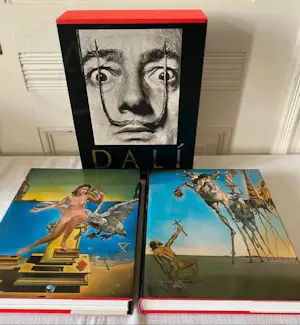 Salvador Dali - Das malerische Werk. Complete ouvre in 2 cassettes. kopen? Bied vanaf 40!