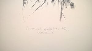 Dirkje Kuik - Pinokkio als Spellebaas – gesigneerde litho kopen? Bied vanaf 55!