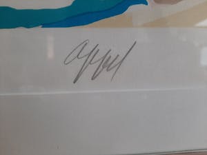 Karel Appel - Handgesigneerde Litho, mooi ingekaderd kopen? Bied vanaf 450!
