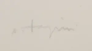 Shinkichi Tajiri - Litho, Compositie kopen? Bied vanaf 80!