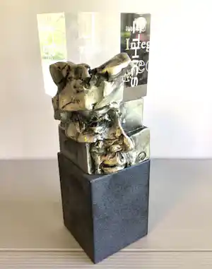 Ad Haring - Sculptuur / Afstudeer plaat Erasmus Universiteit verkauft für € 119!
