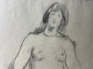 Harry op de Laak - vrouwelijk naakt kopen? Bied vanaf 45!