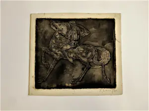 Theo Goedvriend - Bijzondere met Inkt bewerkte Ets "Wild paard" potloodgesigneerd kopen? Bied vanaf 27!