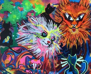 Zippora Sahanaja - Krankzinnige katten kopen? Bied vanaf 10!