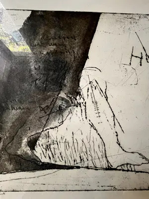 Werner Moonen - Kleurenets "Huis" 7/24 Eigen Druk kopen? Bied vanaf 35!