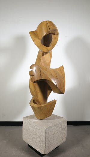 Niet of onleesbaar gesigneerd - Groot organisch gevormd houten sculptuur (Zwaar!) kopen? Bied vanaf 1!