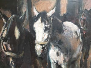 Jan Groenestein - Werkpaarden kopen? Bied vanaf 400!