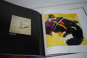 Gerard 't Hart - 2 hardcovers kopen? Bied vanaf 50!