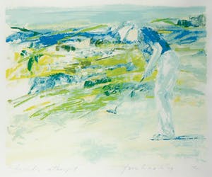 Frank Gude - Litho, Birdie ... - Ingelijst kopen? Bied vanaf 1!