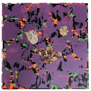 Arjan van Arendonk - Tulips II verkocht voor € 75!