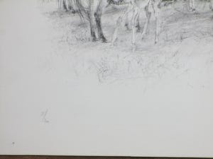 Piet Klaasse - Paarden en Veulens - Litho kopen? Bied vanaf 45!