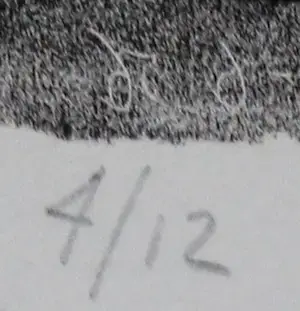 Nicolaas Wijnberg - Litho: Stilleven Ananas - 1956 kopen? Bied vanaf 55!