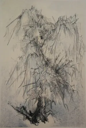 Dirkje Kuik - Ingelijste litho "studie voor een wilg" kopen? Bied vanaf 1!