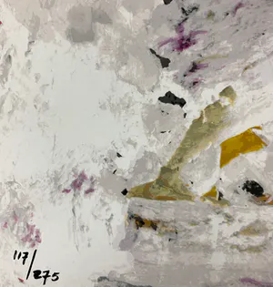 Nico Molenkamp - Vogel kopen? Bied vanaf 38!