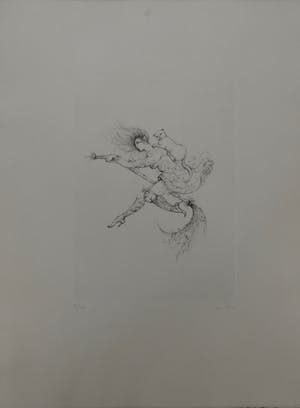 Leonor Fini - La Sorcière sur le Balai kopen? Bied vanaf 35!