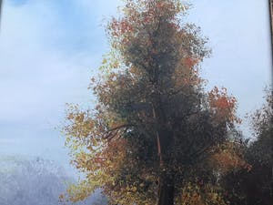 Niet of onleesbaar gesigneerd - Boom. kopen? Bied vanaf 1!