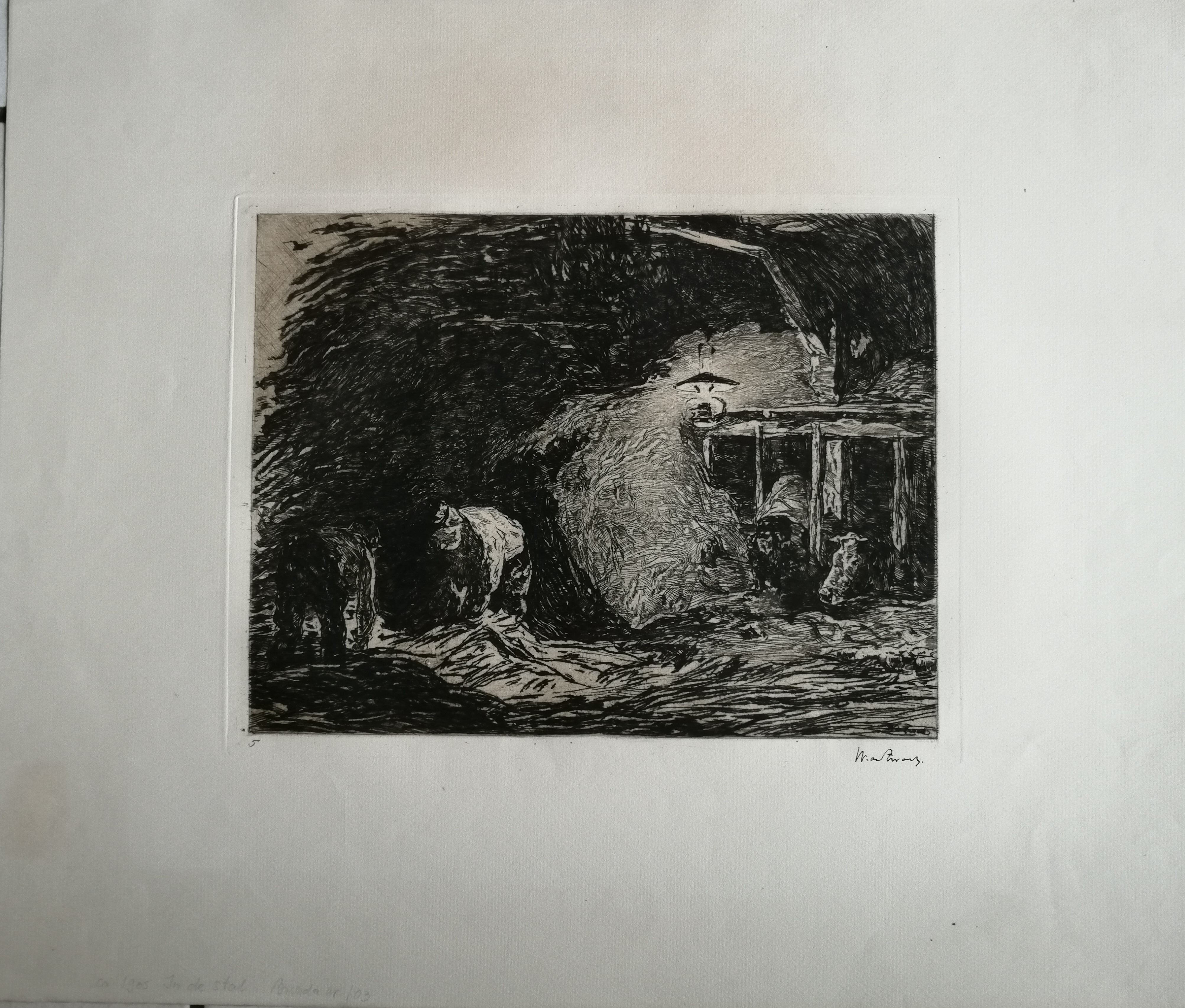 Willem de Zwart - In de stal kopen? Bied vanaf 40!