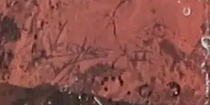 Mark Verdoes - Zeefdruk, Zonder titel - Ingelijst kopen? Bied vanaf 1!