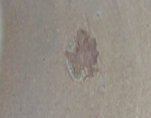 Niet of onleesbaar gesigneerd - Oud Noord Afrikaans of Arabisch aardewerken schaal op voet kopen? Bied vanaf 10!