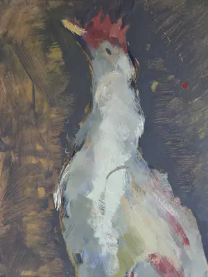 Jan Tullemans - Haan. kopen? Bied vanaf 79!