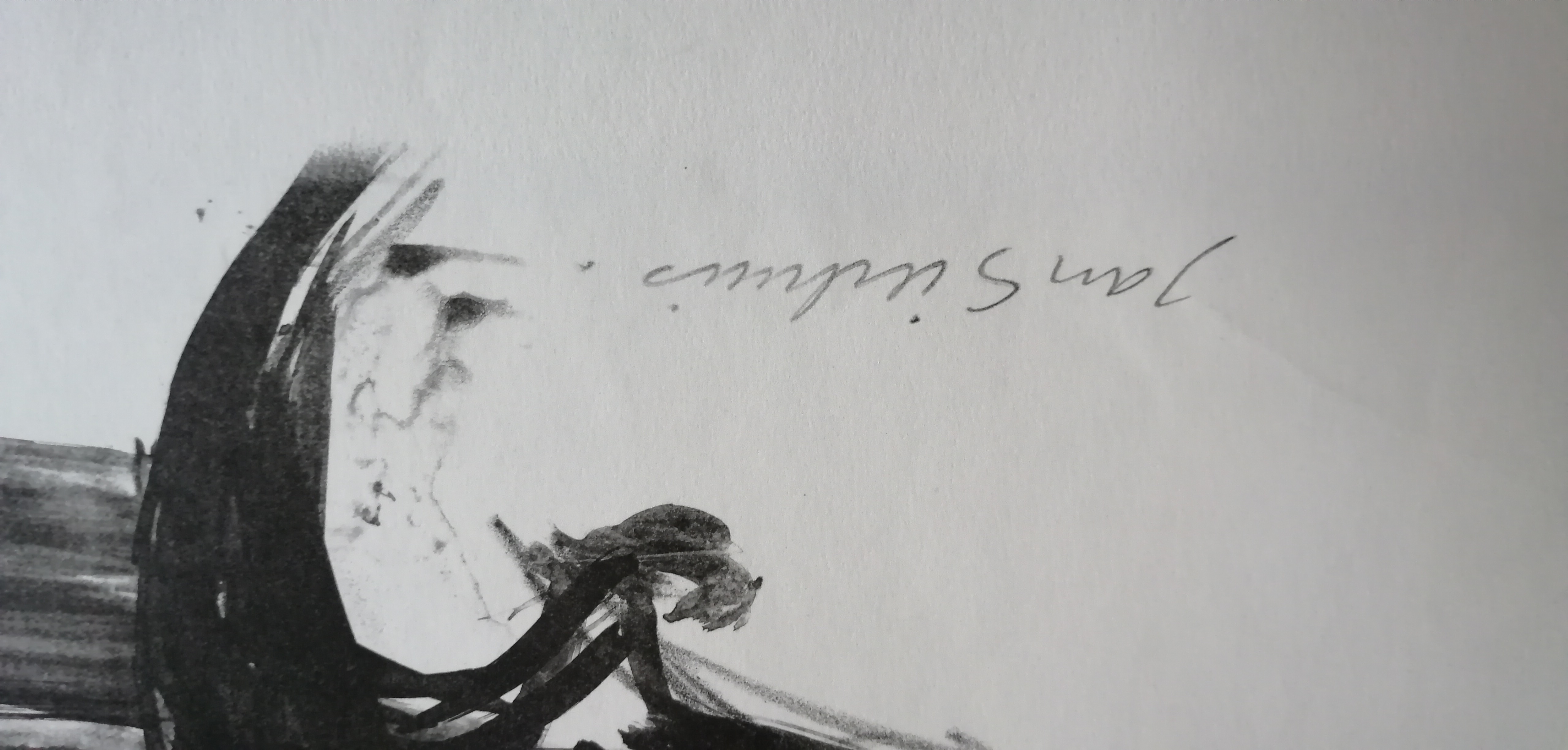 Jan Sierhuis - Boerderij kopen? Bied vanaf 45!