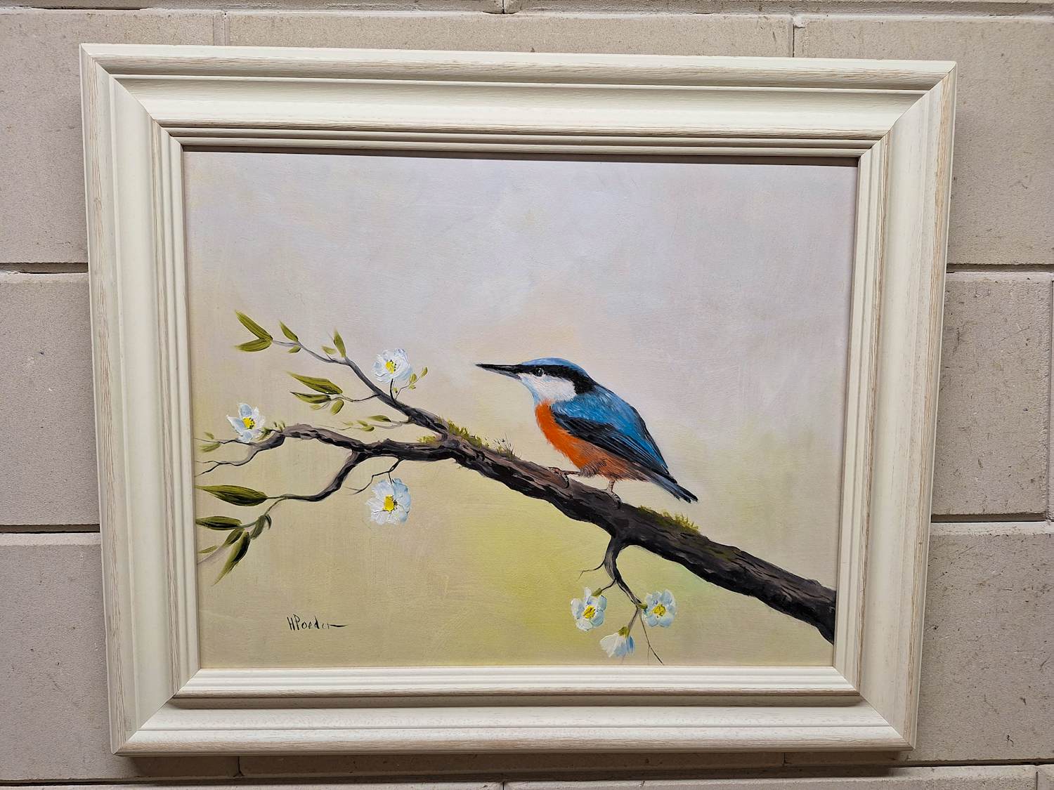 Henk Poeder - Boomklever kopen? Bied vanaf 95!