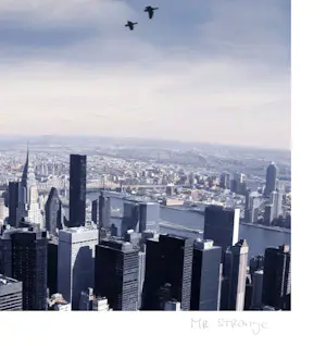 Mr Strange - De Vlucht (III) kopen? Bied vanaf 85!