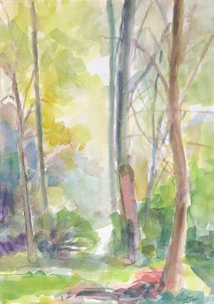 Franscz Witte - aquarel op papier, Boszicht kopen? Bied vanaf 1!