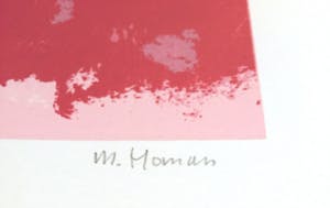 Jan Homan - De wijfies kopen? Bied vanaf 40!