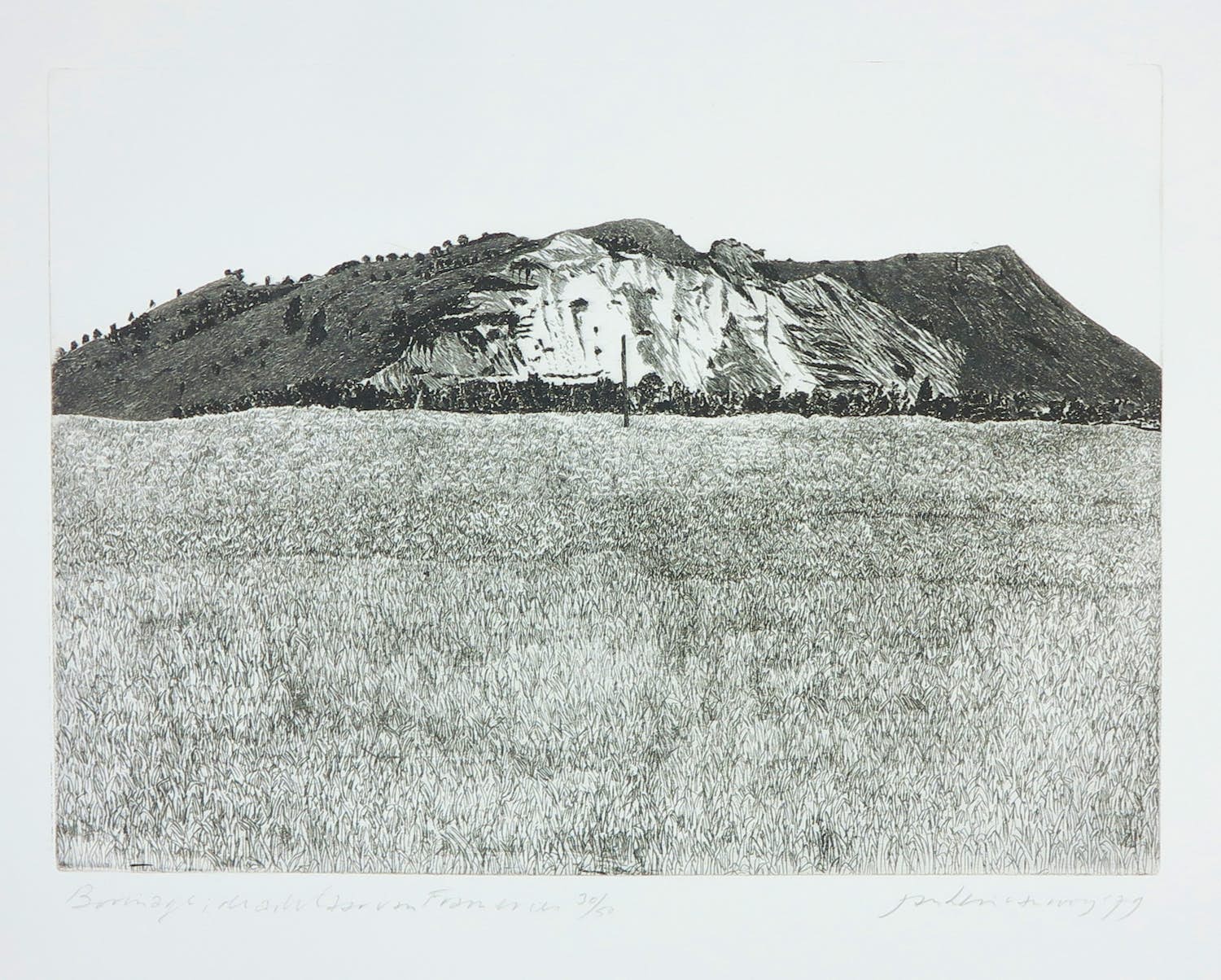 Jan Hein van Rooy - Ets, Borinage, de adelaar van Frameries kopen? Bied vanaf 1!