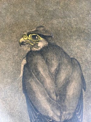 Chris Le Roy - Vogel; Valk kopen? Bied vanaf 10!