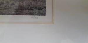 Philip Wiesman - Digitalis (Utrechtse Heuvelrug) kopen? Bied vanaf 150!