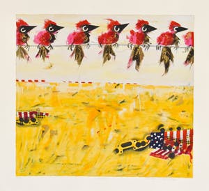 Willem van Scheijndel - Californië kopen? Bied vanaf 70!