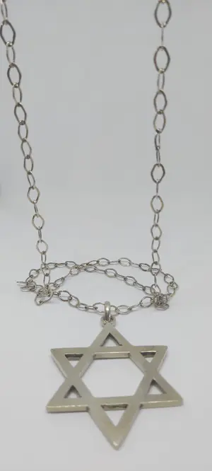 Prachtig Lange Zilveren (925) Collier met Hanger kopen? Bied vanaf 65!
